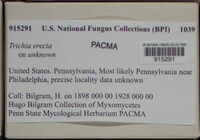Image Associated With the Occurence